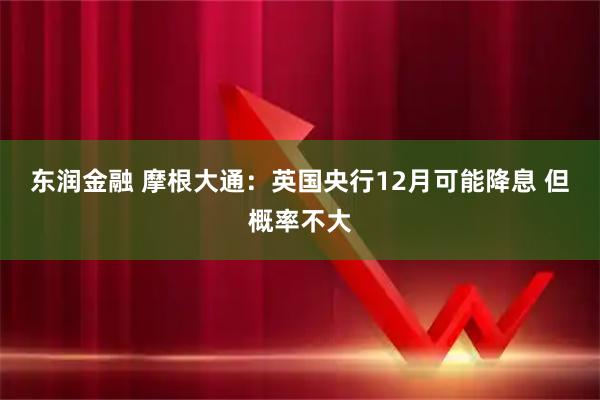 东润金融 摩根大通：英国央行12月可能降息 但概率不大
