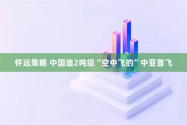 怀远策略 中国造2吨级“空中飞的”中亚首飞