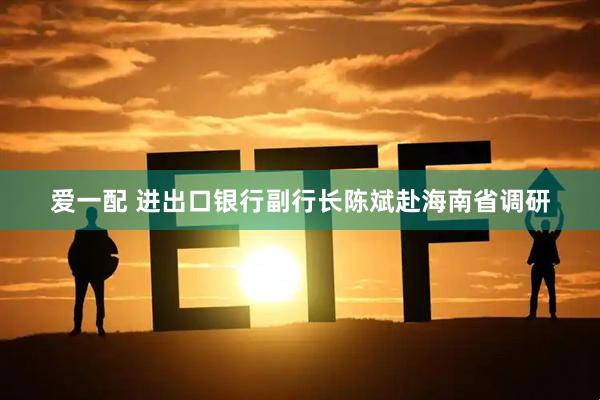 爱一配 进出口银行副行长陈斌赴海南省调研